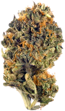 Load image into Gallery viewer, Grease Monkey