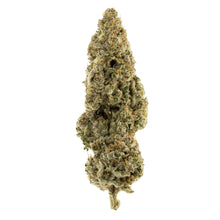 Load image into Gallery viewer, Velvet Glove