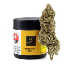 Load image into Gallery viewer, Velvet Glove