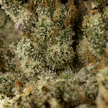 Load image into Gallery viewer, Velvet Glove