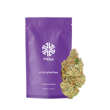 Load image into Gallery viewer, Viola Al '96