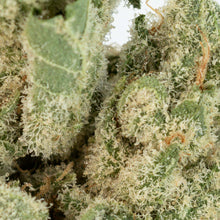 Load image into Gallery viewer, White Runtz