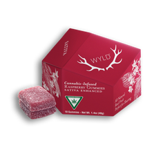 Load image into Gallery viewer, Real Fruit Raspberry Gummies