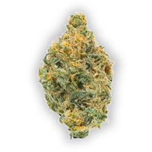 Load image into Gallery viewer, BC Organic Girl Scout Platinum