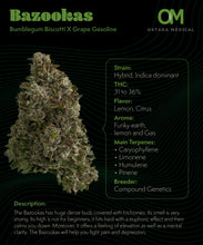 Load image into Gallery viewer, Bazookas