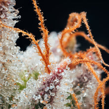 Load image into Gallery viewer, Waffle Bites