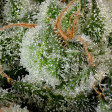 Load image into Gallery viewer, BC Organic Peanut Butter Souffle