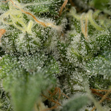 Charger l'image dans la galerie, Pure Cake Skunk