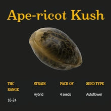 Load image into Gallery viewer, Ape-ricot Kush Autoflower Seeds
