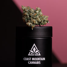 Load image into Gallery viewer, Pemberton Pink