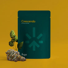 Load image into Gallery viewer, Crescendo