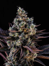 Load image into Gallery viewer, Crunch Berries