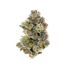 Load image into Gallery viewer, Kiwi Sherbert