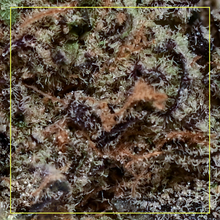 Load image into Gallery viewer, Kiwi Sherbert