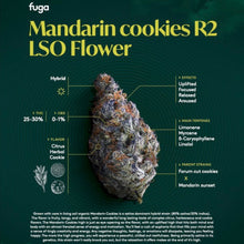 Load image into Gallery viewer, Mandarin Cookies
