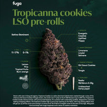 Load image into Gallery viewer, Tropicanna Cookies Pre-Rolls
