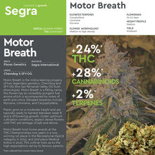 Charger l'image dans la galerie, Motor Breath Tissue Cultures