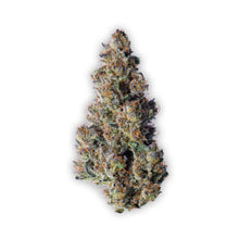 Load image into Gallery viewer, BC Organic Dancehall CBD