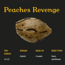 Load image into Gallery viewer, Peach&#39;s Revenge Semi-Auto Seeds
