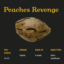 Load image into Gallery viewer, Peach's Revenge Semi-Auto Seeds