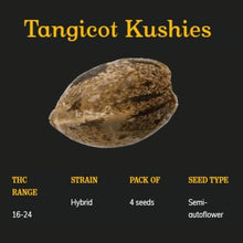 Load image into Gallery viewer, Tangicot Kushies Semi-Auto Seeds
