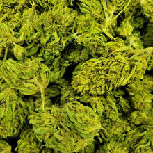 Load image into Gallery viewer, Umpqua CBD