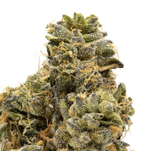 Load image into Gallery viewer, Cake Crasher #1