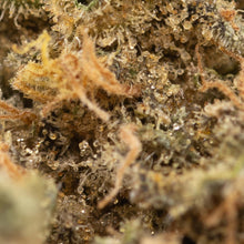 Load image into Gallery viewer, Citrique