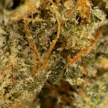 Load image into Gallery viewer, Cookies Gelato