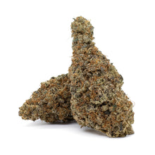 Load image into Gallery viewer, Crescendo