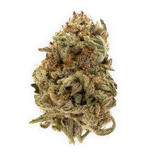 Load image into Gallery viewer, Grape Pupil