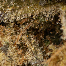 Load image into Gallery viewer, Grapefruit