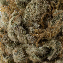 Load image into Gallery viewer, London Pound Mints