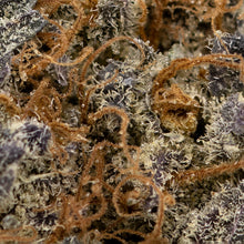 Load image into Gallery viewer, Mandarin Cookies