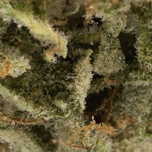 Load image into Gallery viewer, Mendoz Stomper