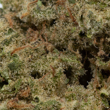 Load image into Gallery viewer, Crooked Dory Mint Smash