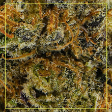 Load image into Gallery viewer, Research Institute Gorilla Dosha