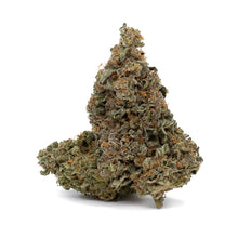 Load image into Gallery viewer, Orange Tingz