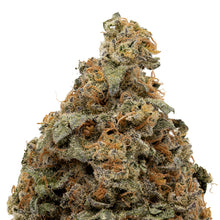 Load image into Gallery viewer, Orange Tingz