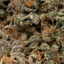 Load image into Gallery viewer, Orange Tingz