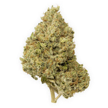 Load image into Gallery viewer, Rainbow Driver