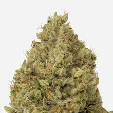 Load image into Gallery viewer, Rainbow Driver