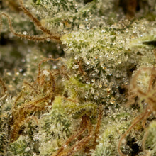 Load image into Gallery viewer, Rainbow Driver