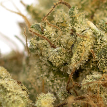 Load image into Gallery viewer, Rocketpac