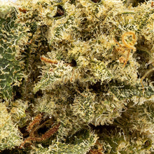 Load image into Gallery viewer, Sin Mints