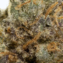 Load image into Gallery viewer, Naked Mummer Snowman x Cherry Pie