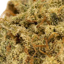 Load image into Gallery viewer, Starrberry