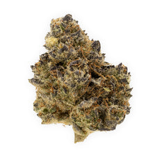 Load image into Gallery viewer, Terple