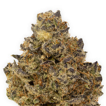 Load image into Gallery viewer, Terple