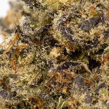 Load image into Gallery viewer, Terple